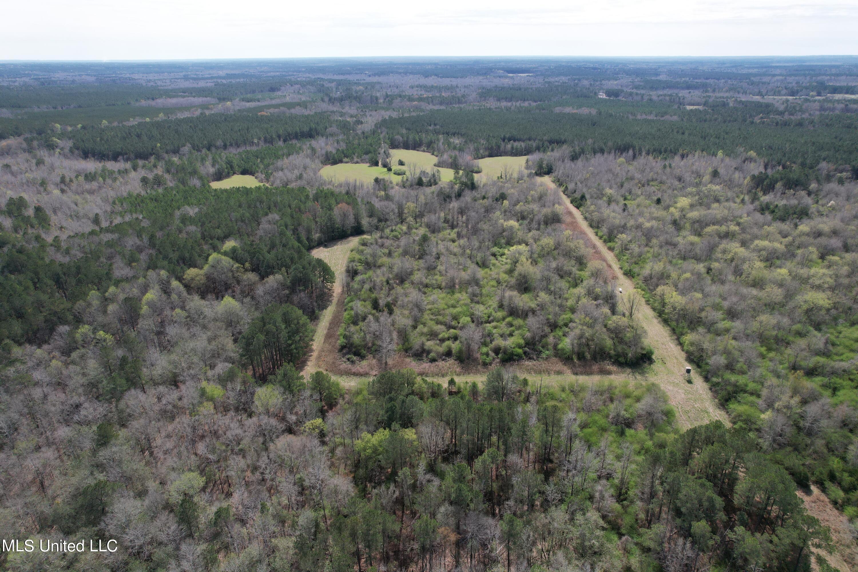 107 Co Rd 224, Pachuta, Mississippi image 31