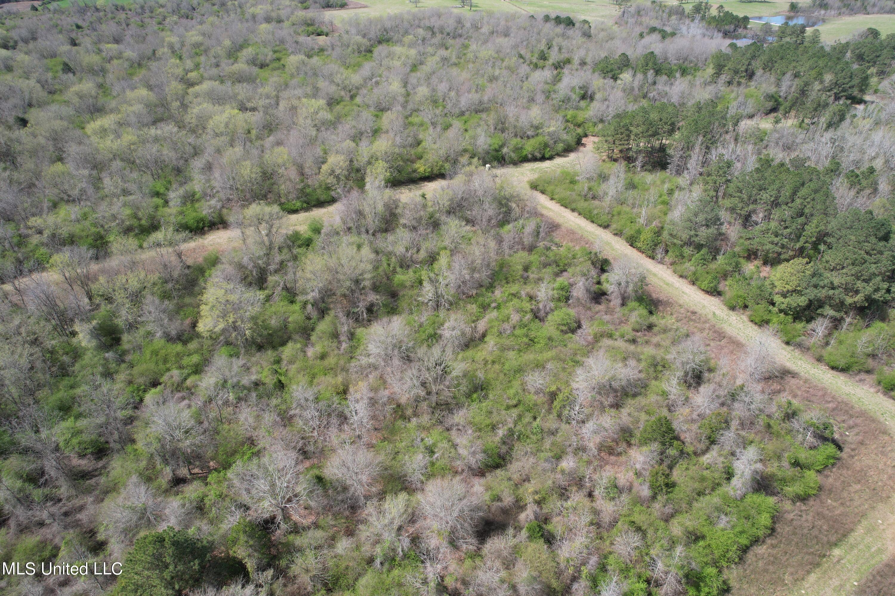 107 Co Rd 224, Pachuta, Mississippi image 49