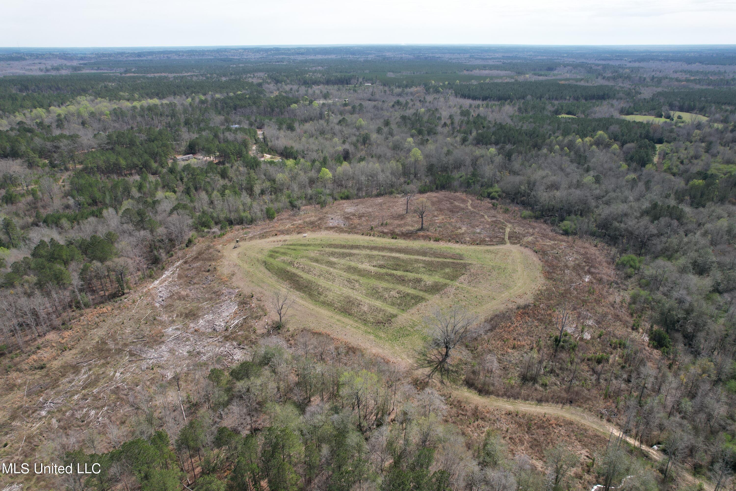 107 Co Rd 224, Pachuta, Mississippi image 29