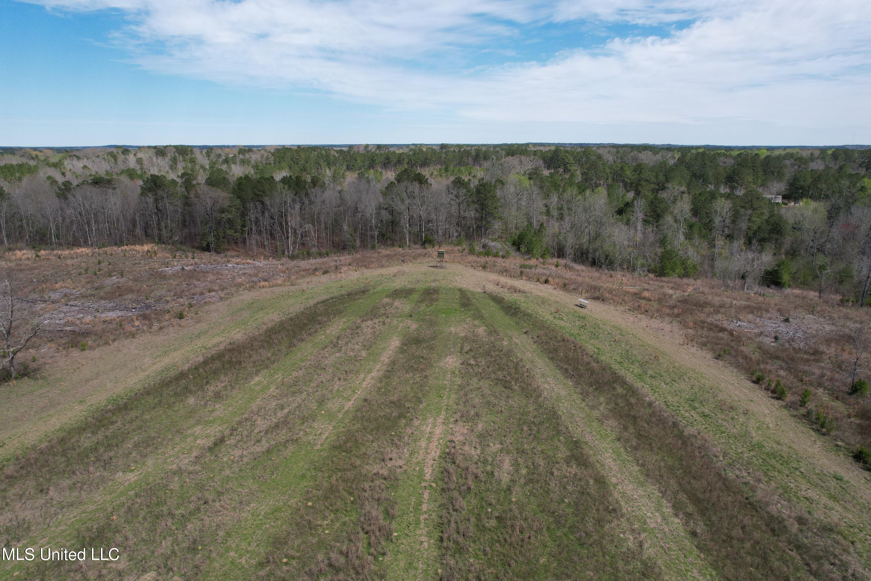 107 Co Rd 224, Pachuta, Mississippi image 39