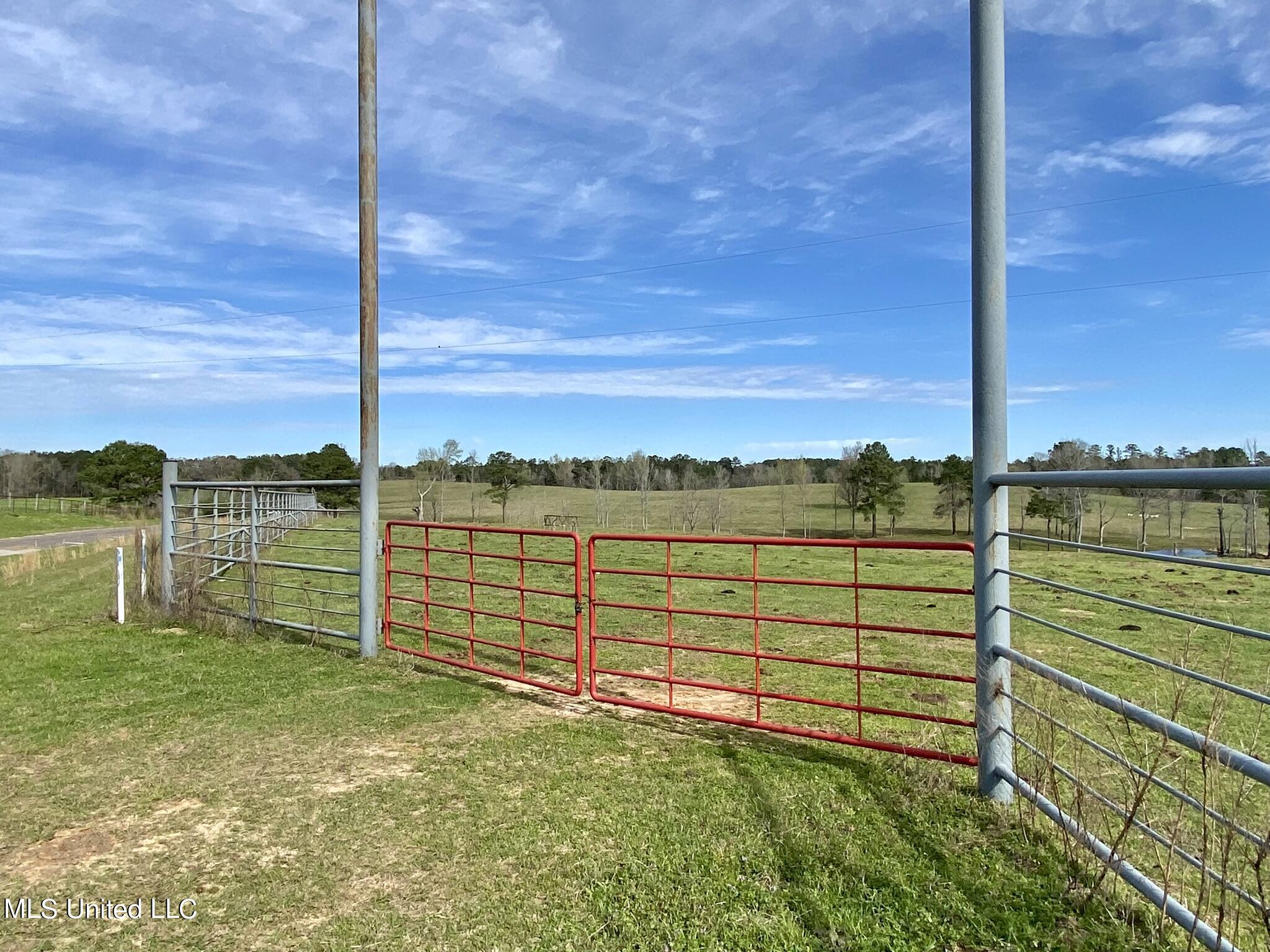 107 Co Rd 224, Pachuta, Mississippi image 19
