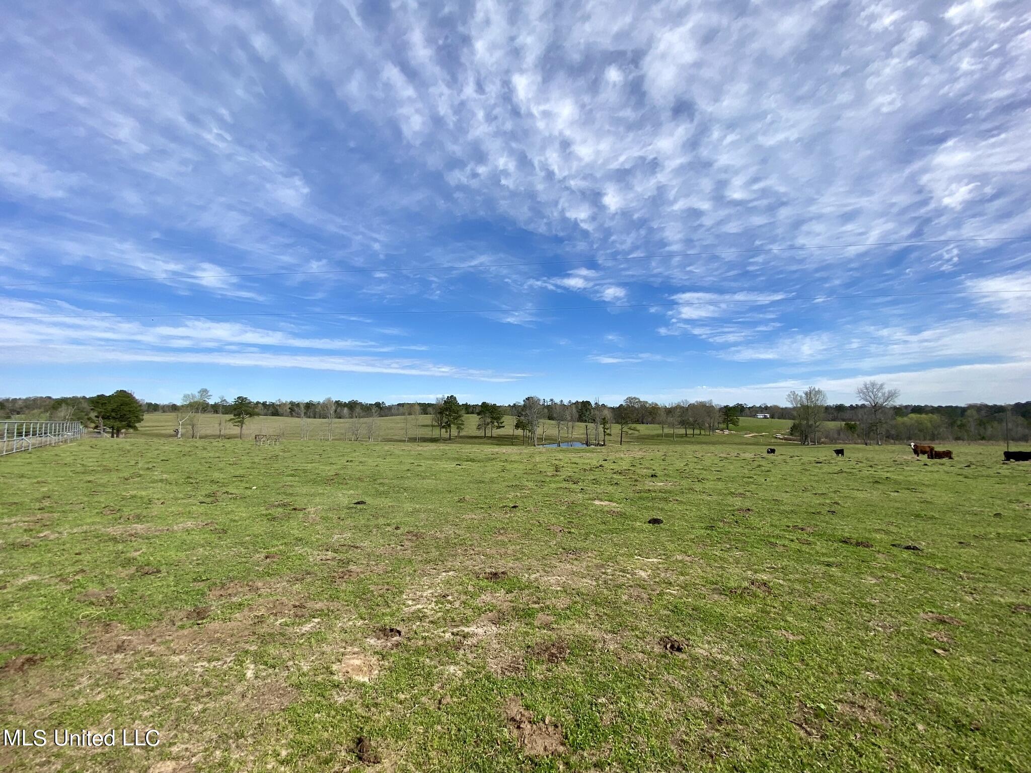 107 Co Rd 224, Pachuta, Mississippi image 20
