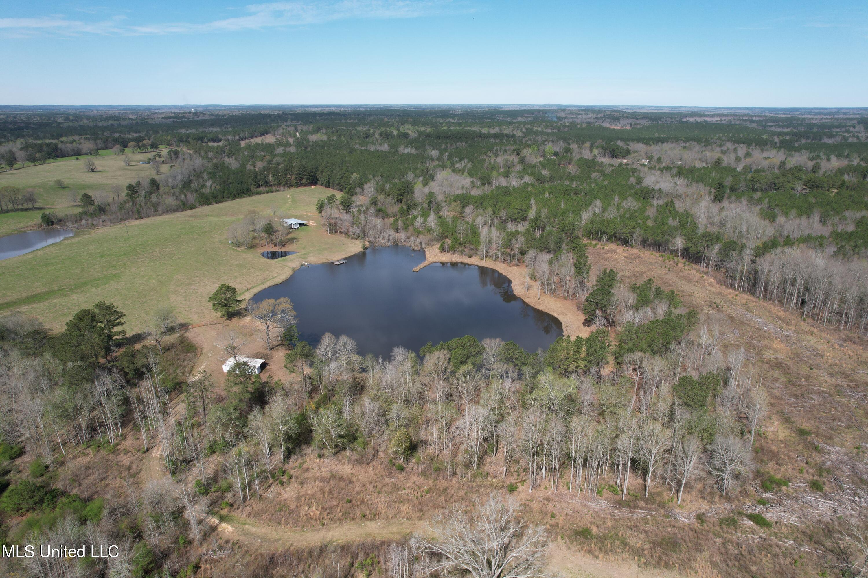 107 Co Rd 224, Pachuta, Mississippi image 26