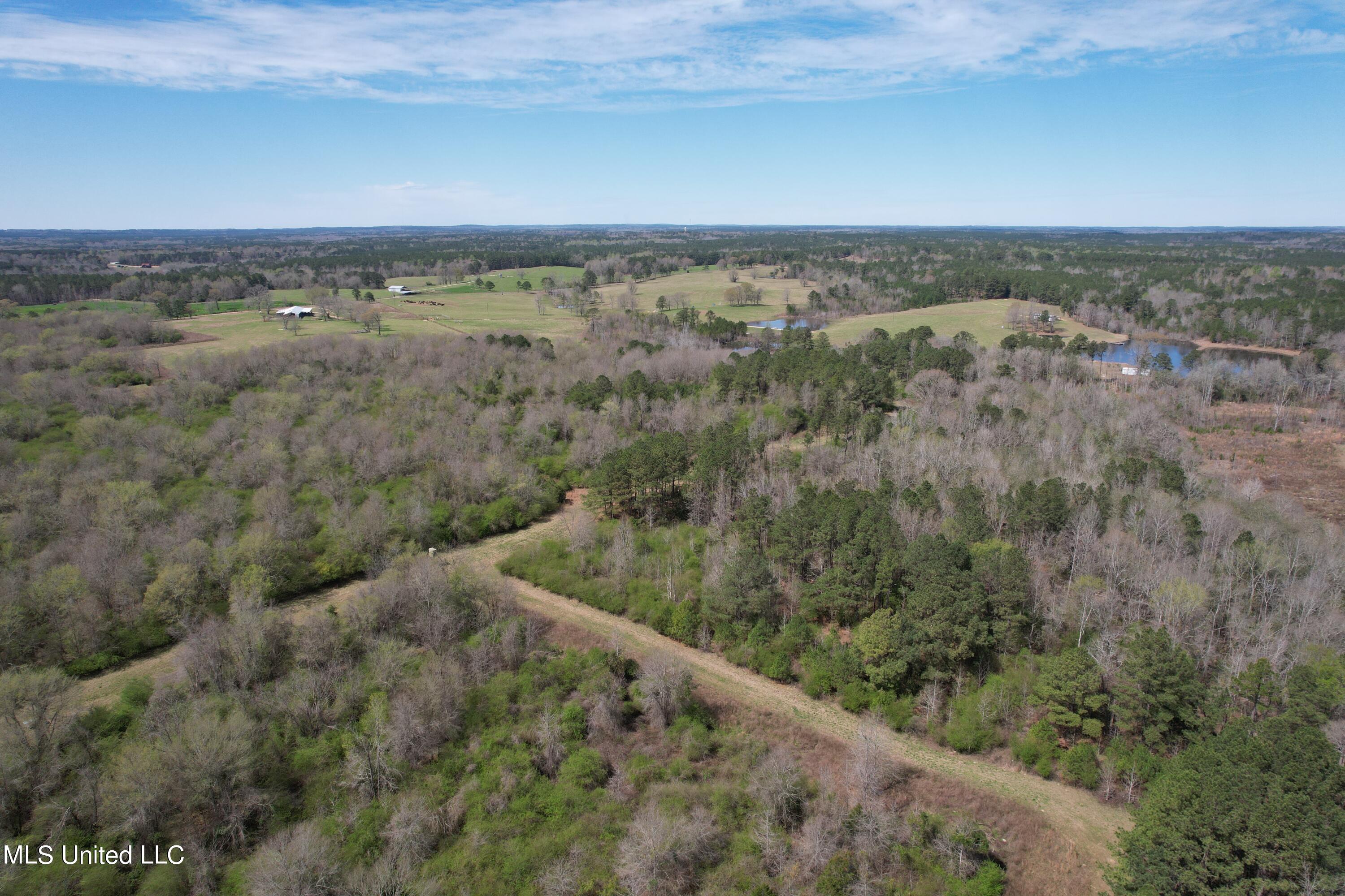 107 Co Rd 224, Pachuta, Mississippi image 48