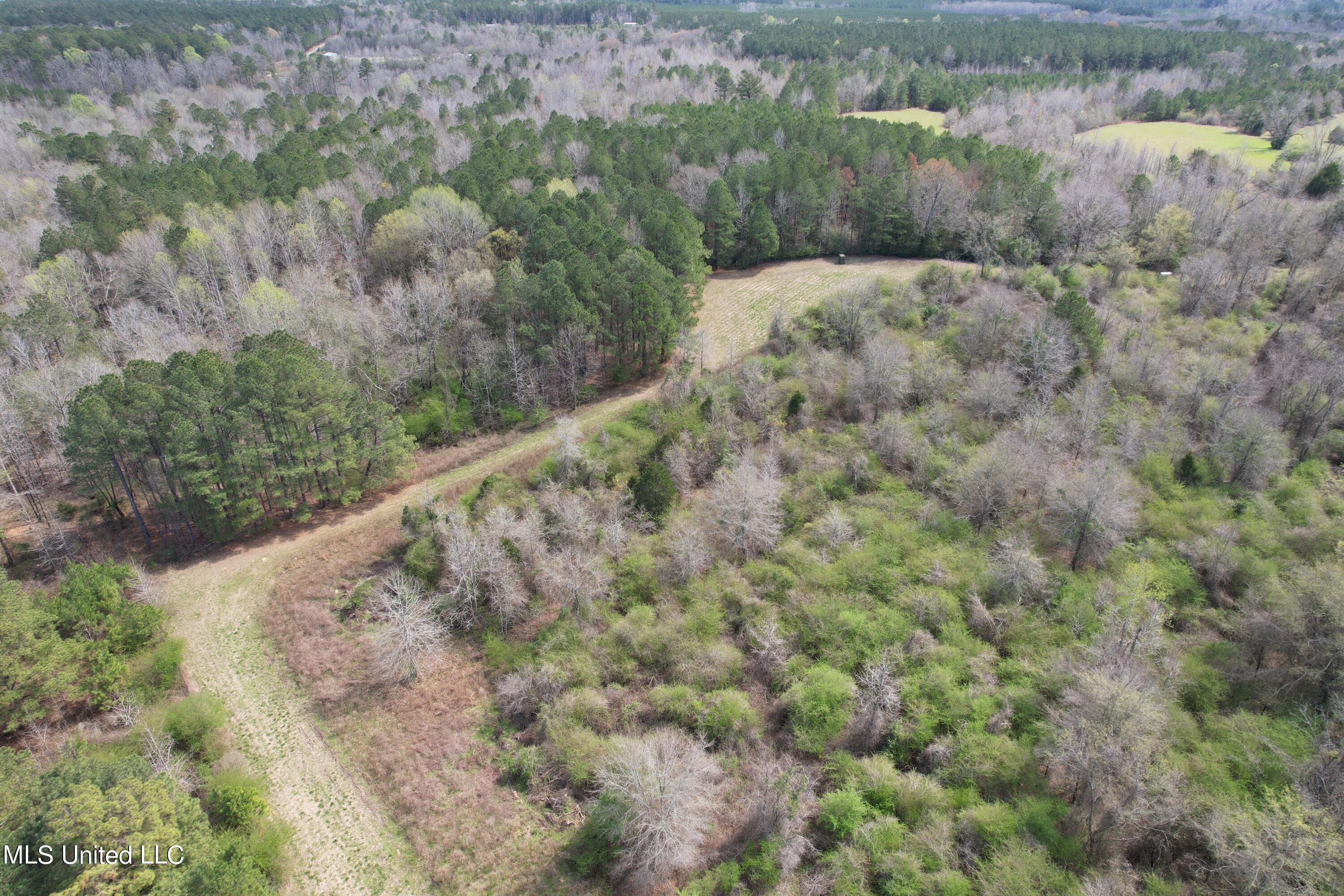 107 Co Rd 224, Pachuta, Mississippi image 46
