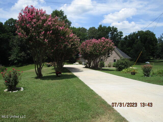 2780 N Crockett Rd., Sarah, Mississippi image 3