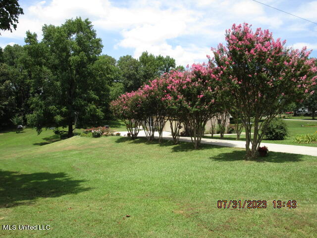 2780 N Crockett Rd., Sarah, Mississippi image 5