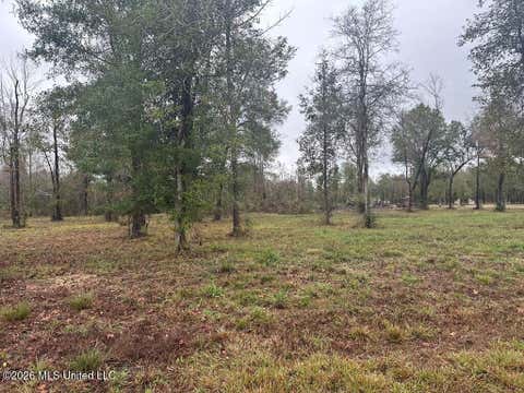 Vacant Land For Sale - Bent Creek<br/> Picayune, MS 39466