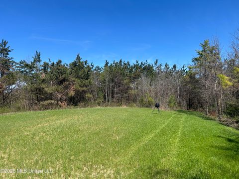 Vacant Land For Sale - Mississippi 9<br/> Union County, Blue Springs, MS 38828