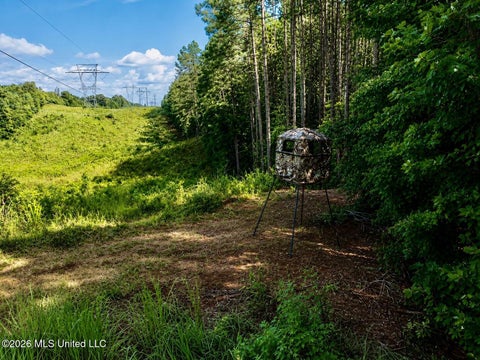 Vacant Land For Sale - Mississippi 9<br/> Union County, Blue Springs, MS 38828