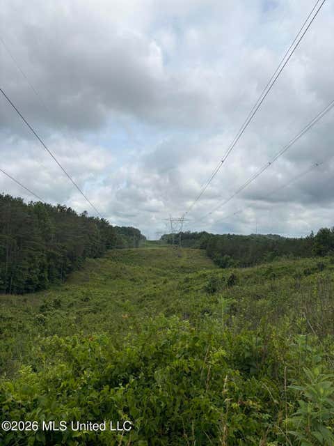 Vacant Land For Sale - Mississippi 9<br/> Blue Springs, MS 38828