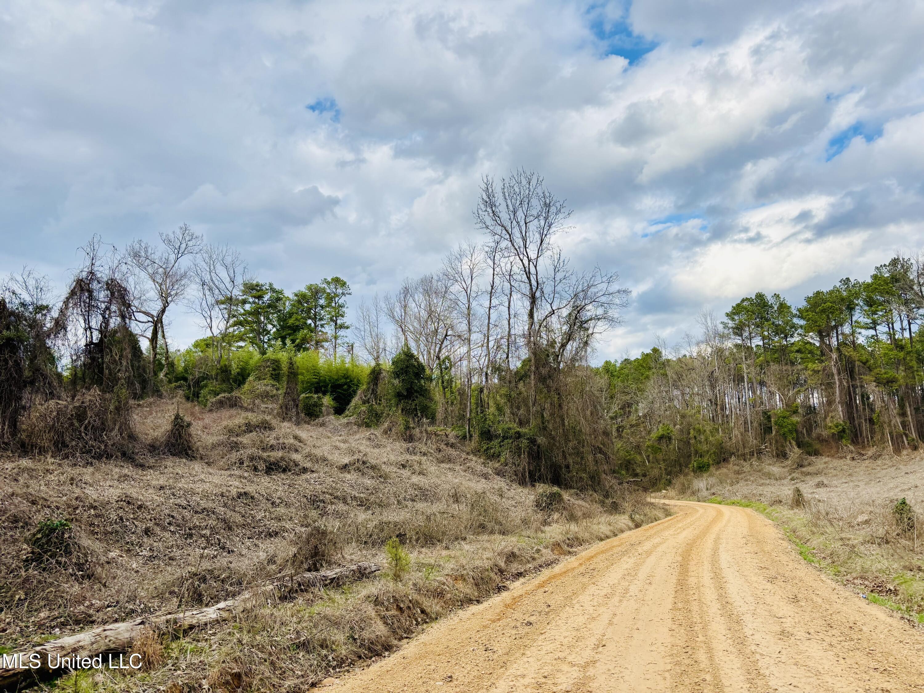 5854 Sand Hill Rd Road, Lexington, Mississippi image 42