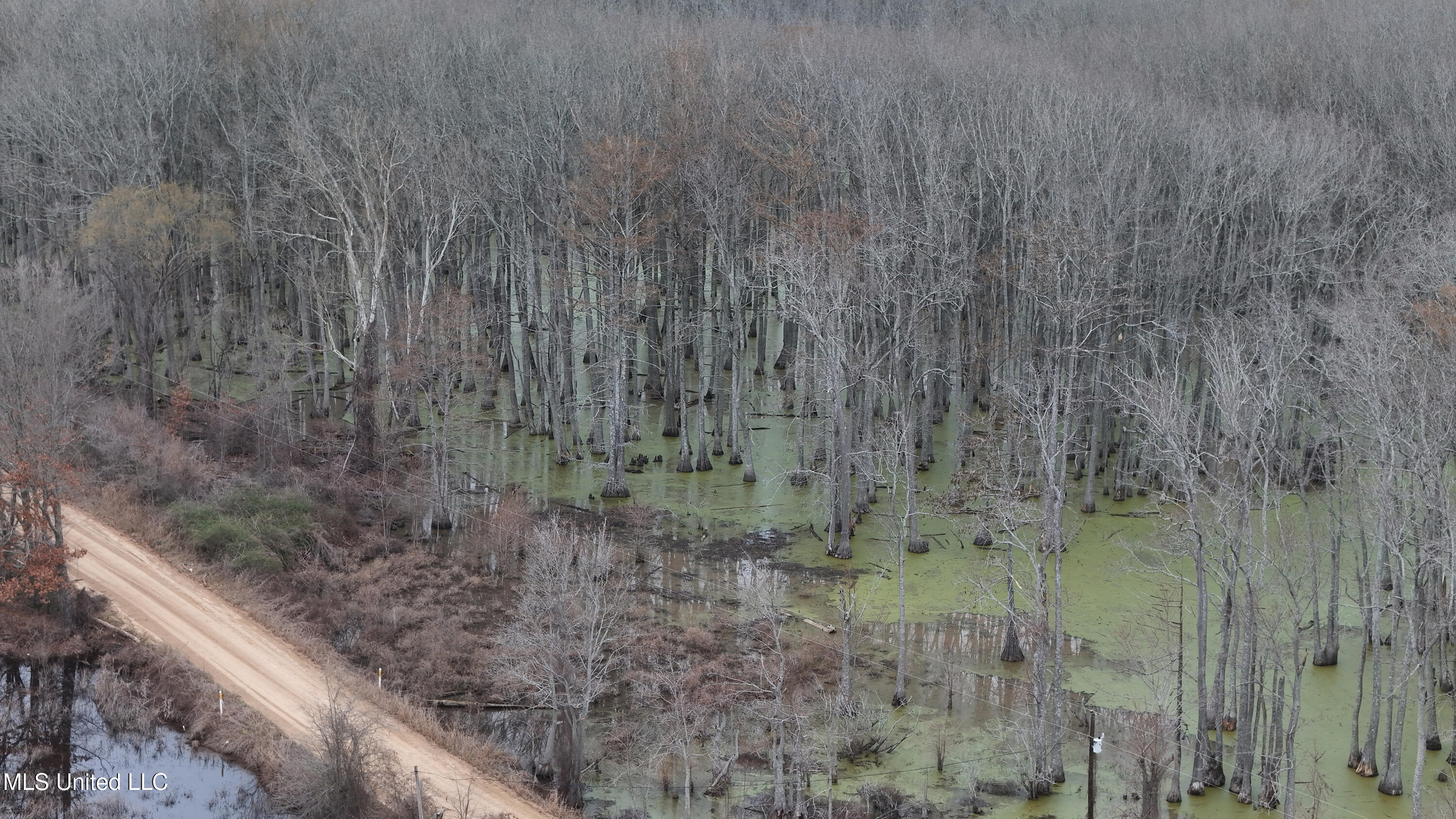 County Road 167, Itta Bena, Mississippi image 10