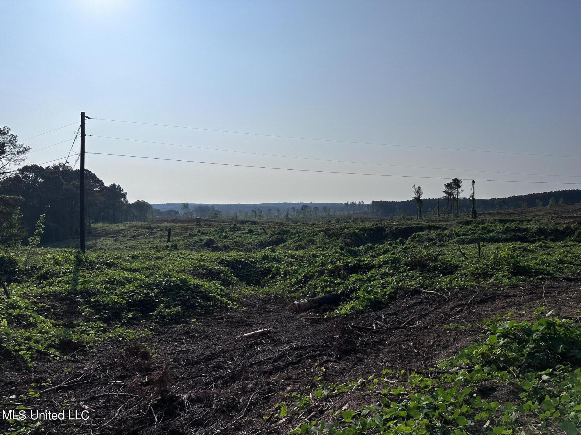 Co Rd 309, Oxford, Mississippi image 6