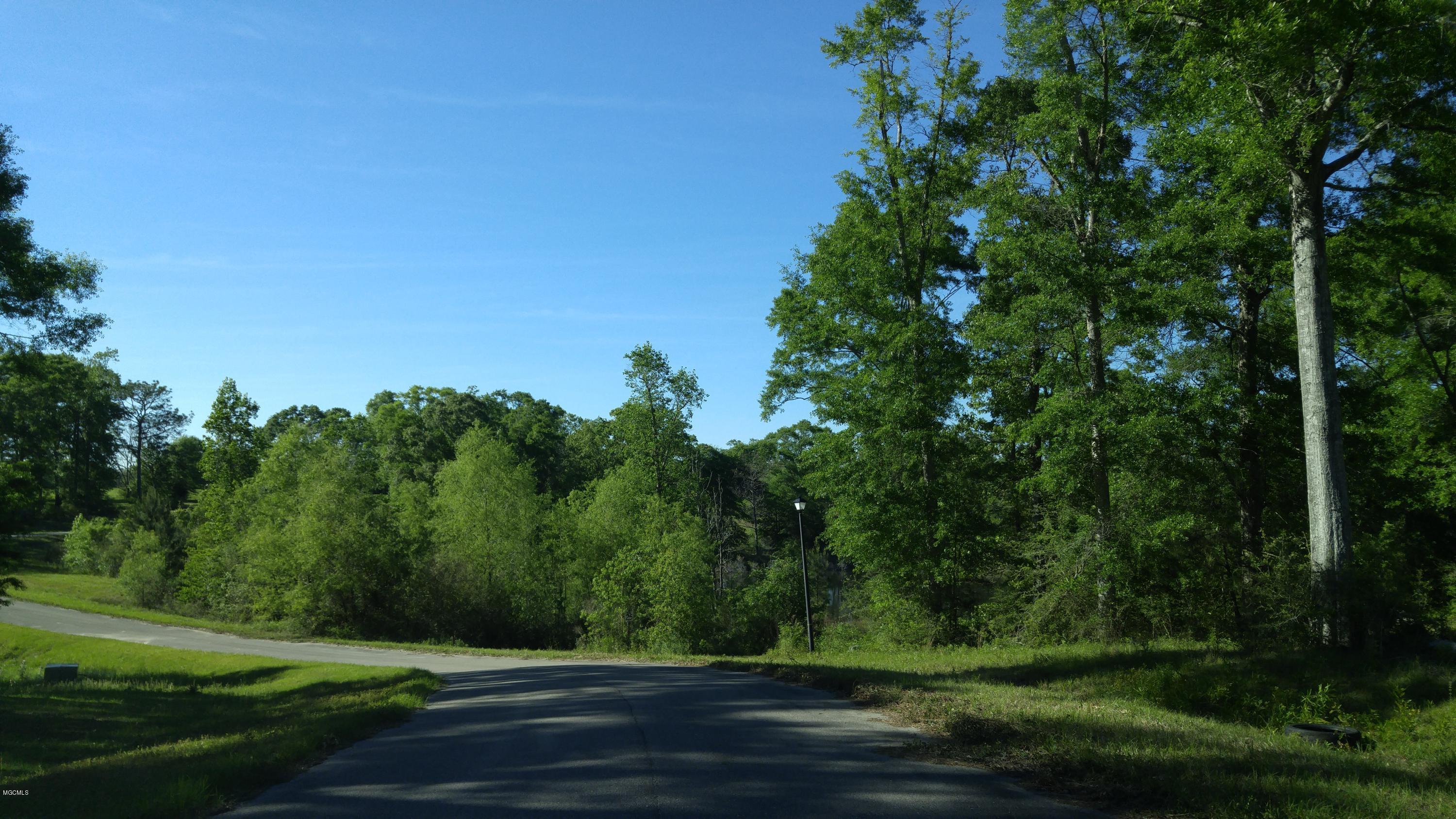 Lot 40 Fallen Leaf Drive, Poplarville, Mississippi image 7