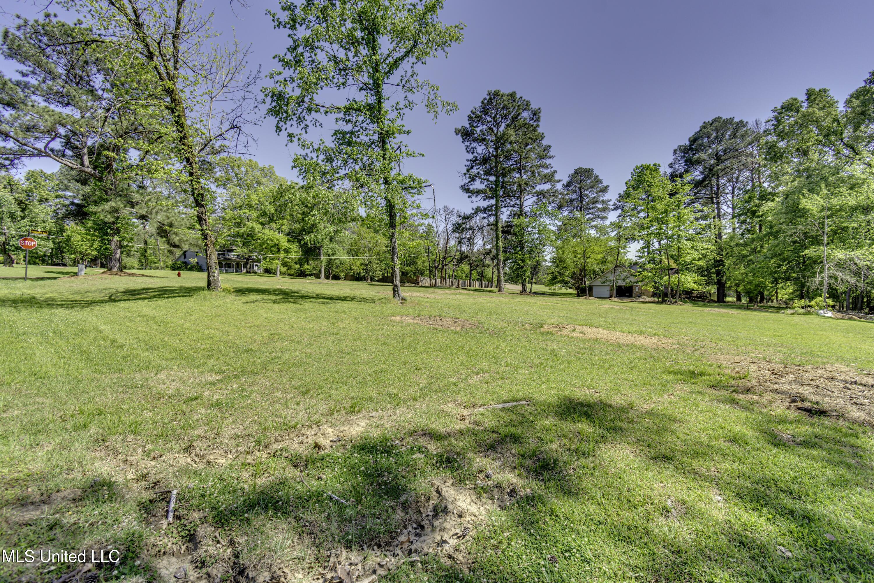 Mescalero Way, Madison, Mississippi image 12