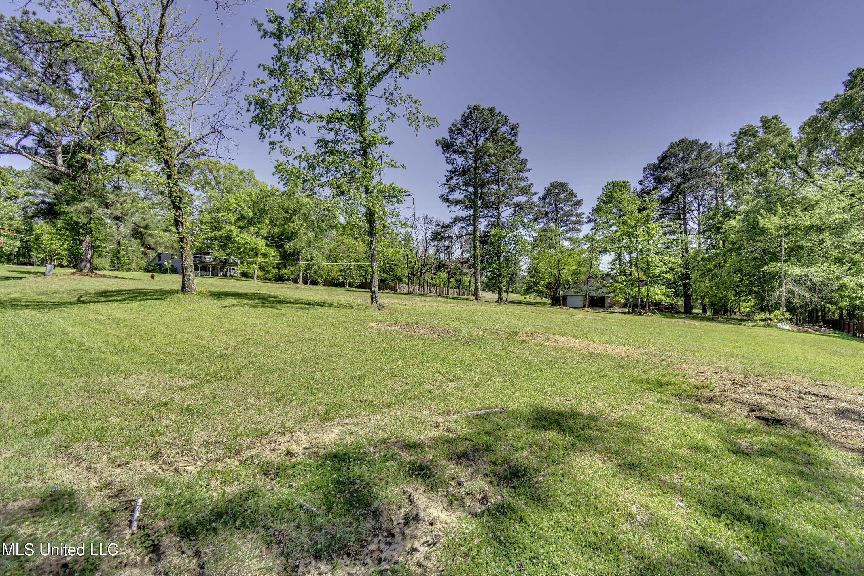 Mescalero Way, Madison, Mississippi image 11
