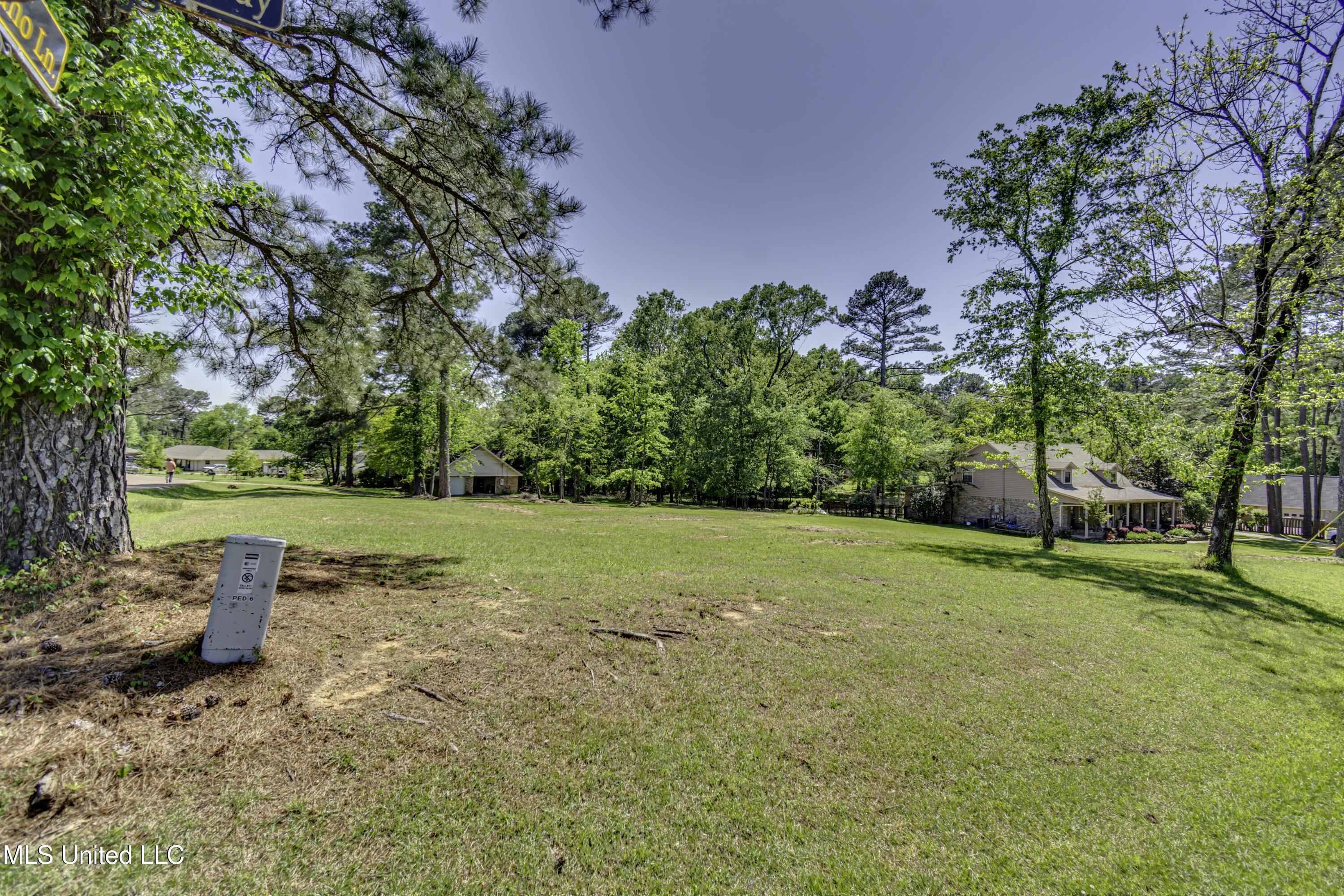 Mescalero Way, Madison, Mississippi image 9