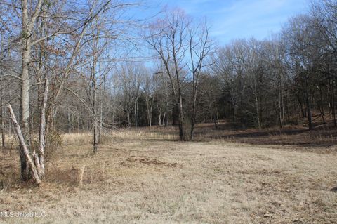Vacant Land For Sale - 5 Hollow Crossing Cove<br/> Senatobia, MS 38668
