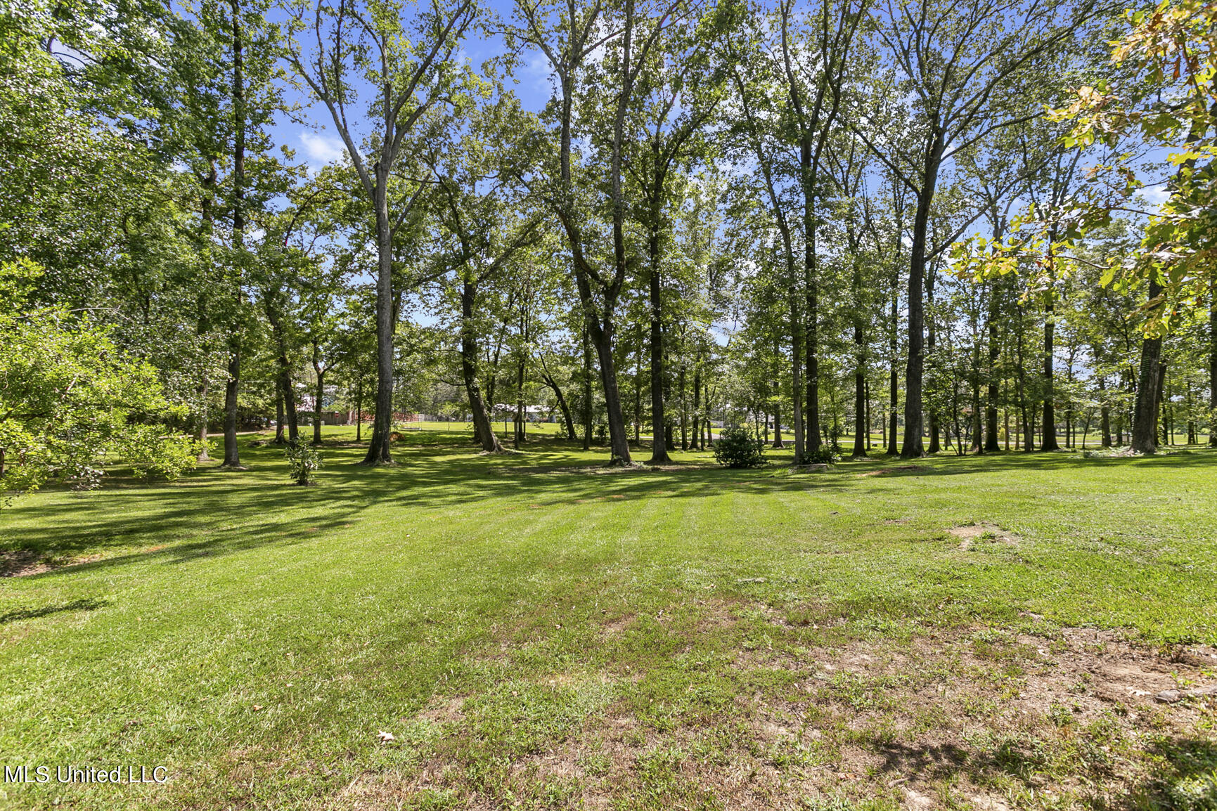 584 Cherry Rose Lane, Canton, Mississippi image 36