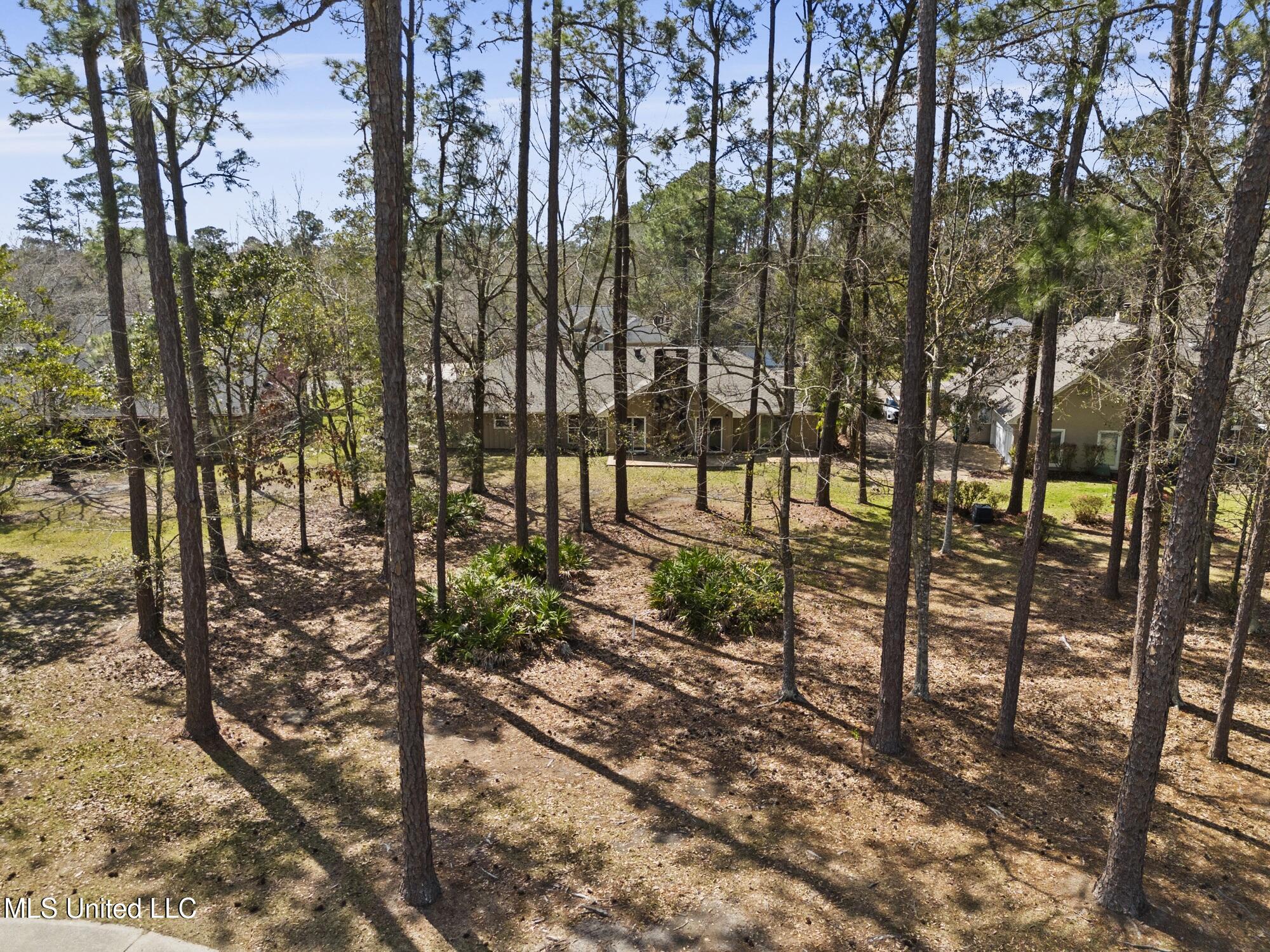 7423 Mahalo Hui Drive, Diamondhead, Mississippi image 22