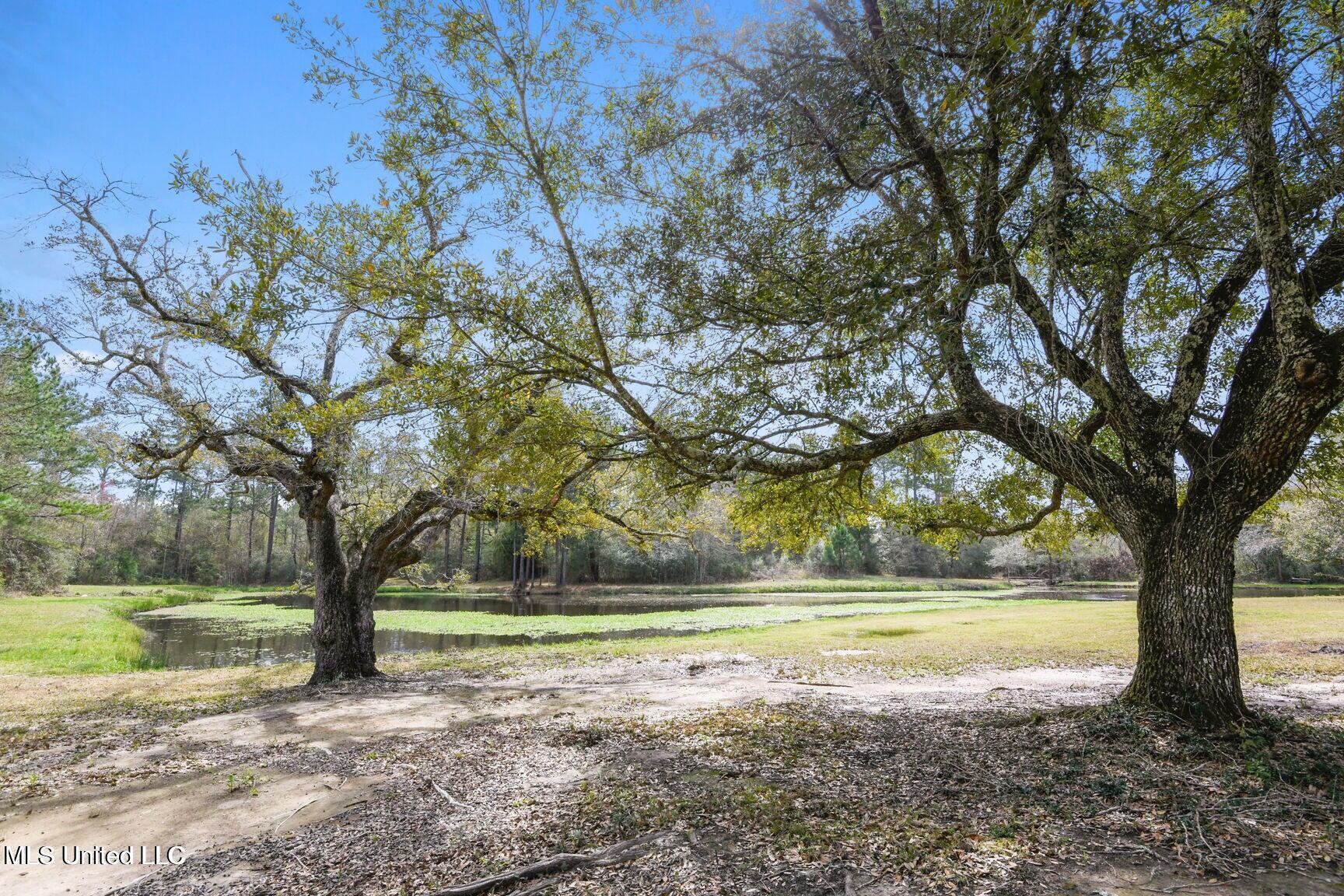 6131 Jenness Road, Pearlington, Mississippi image 21