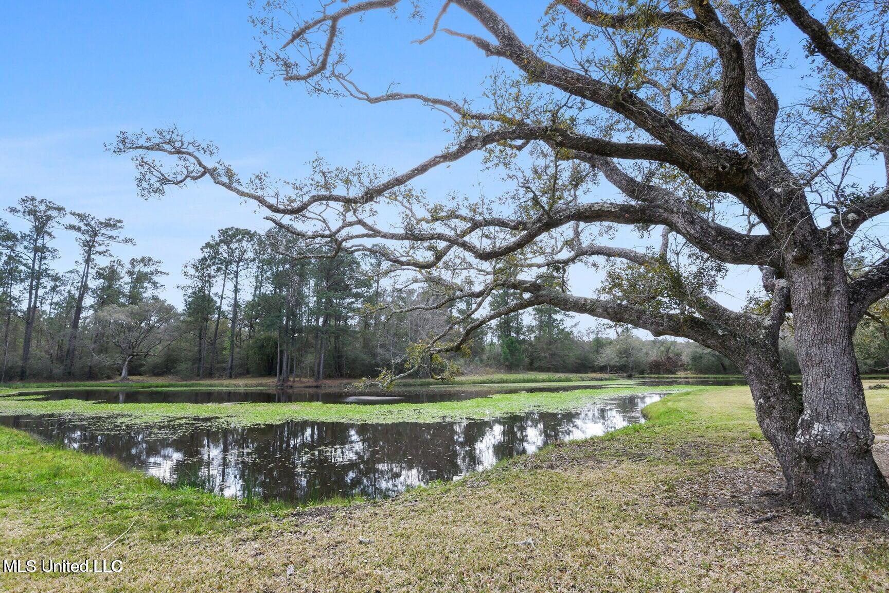 6131 Jenness Road, Pearlington, Mississippi image 23