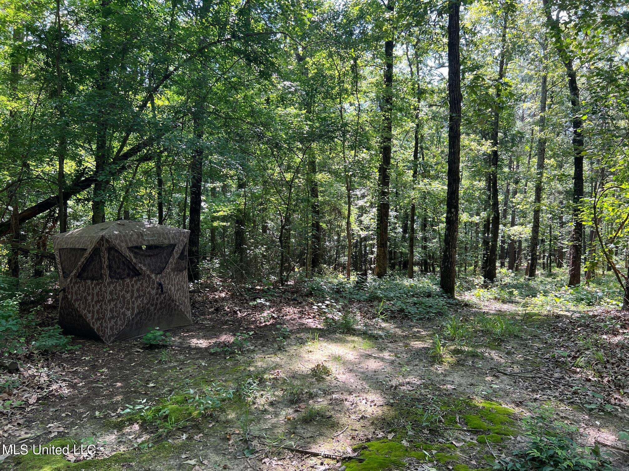 N Livingston Road, Madison, Mississippi image 6