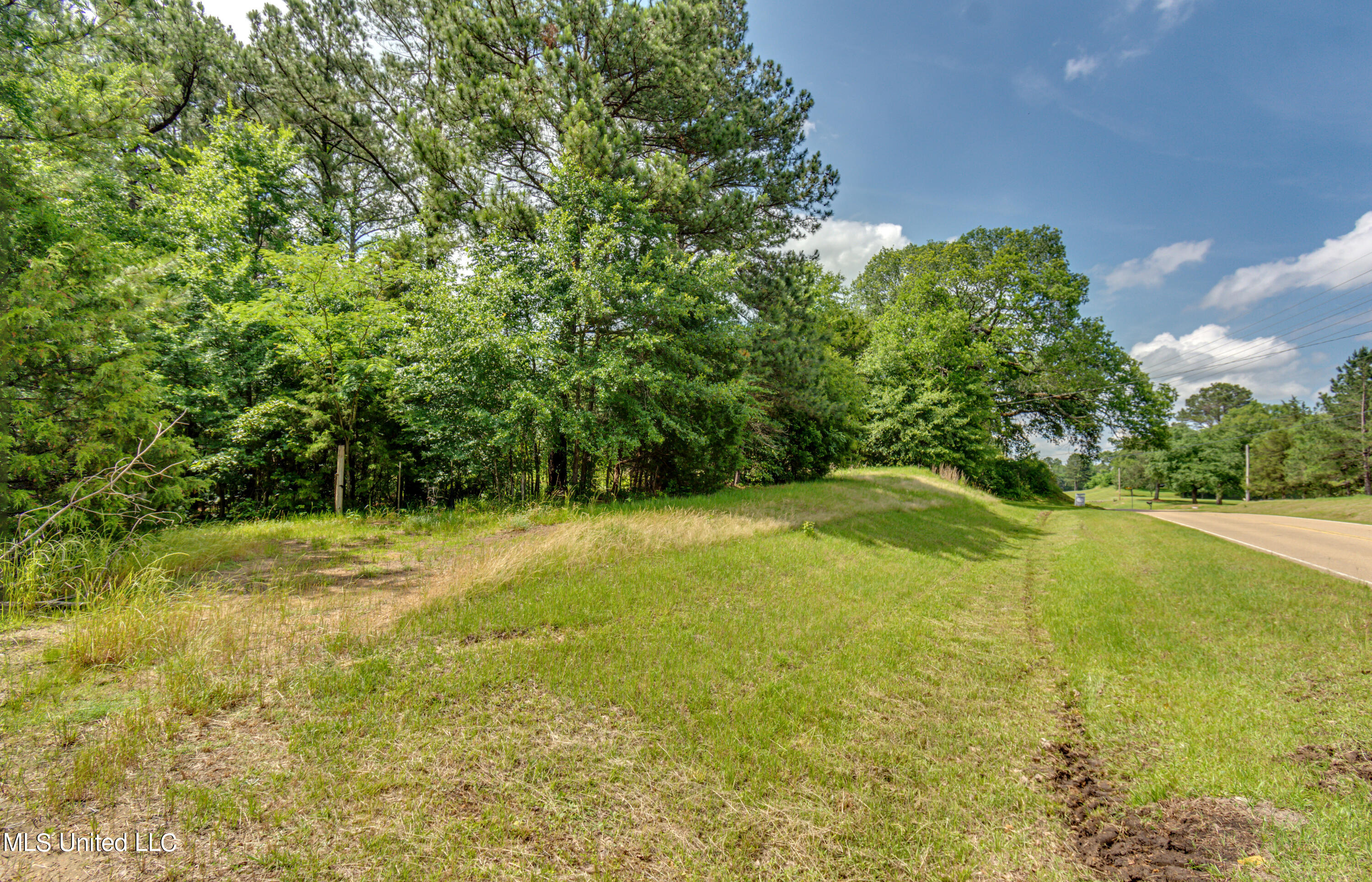 N Livingston Road, Madison, Mississippi image 1