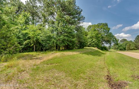 Vacant Land For Sale - N Livingston Road<br/> Madison, MS 39110
