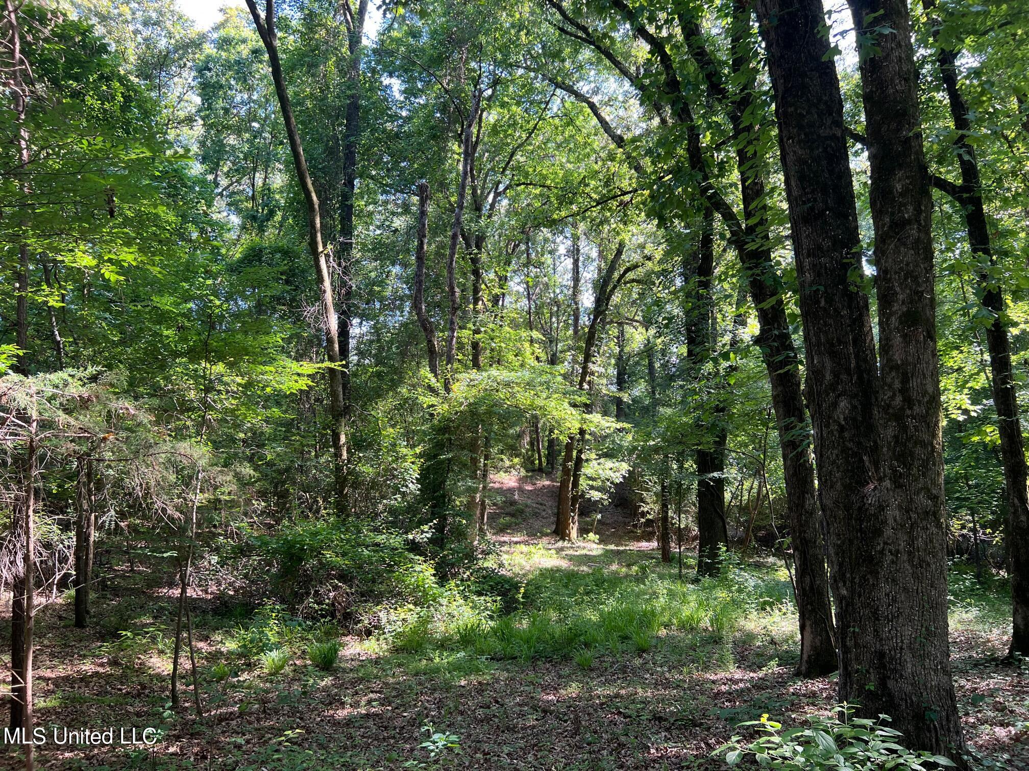 N Livingston Road, Madison, Mississippi image 11