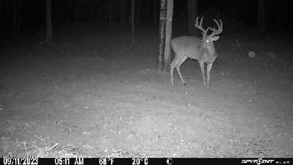 N Livingston Road, Madison, Mississippi image 23