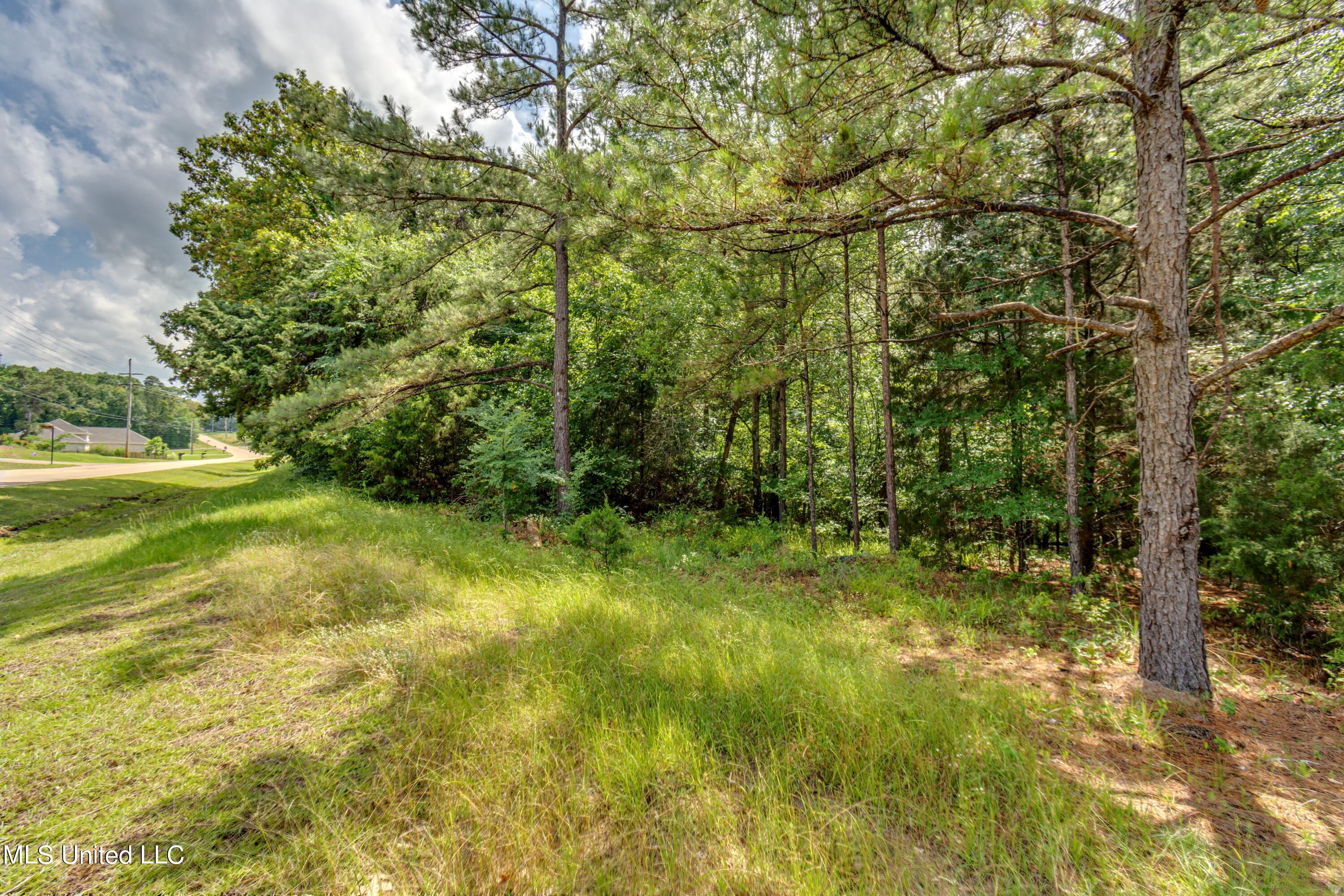 N Livingston Road, Madison, Mississippi image 21