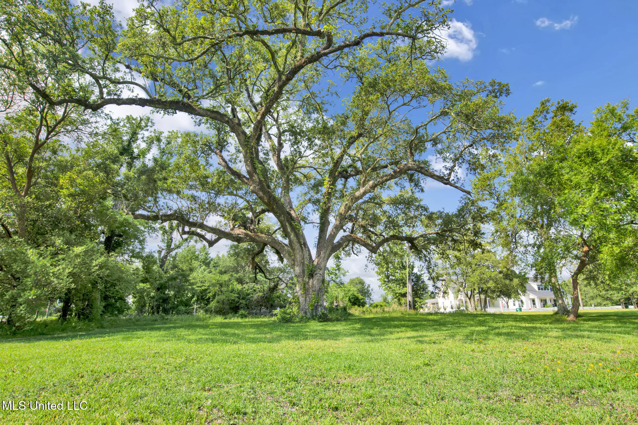 108 Leopold Street, Bay Saint Louis, Mississippi image 33