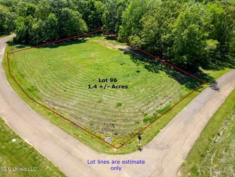 Vacant Land For Sale - 177 Chestnut Hill Road<br/> Flora, MS 39071