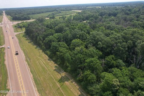 Vacant Land For Sale - Us-51 Highway<br/> Canton, MS 39046