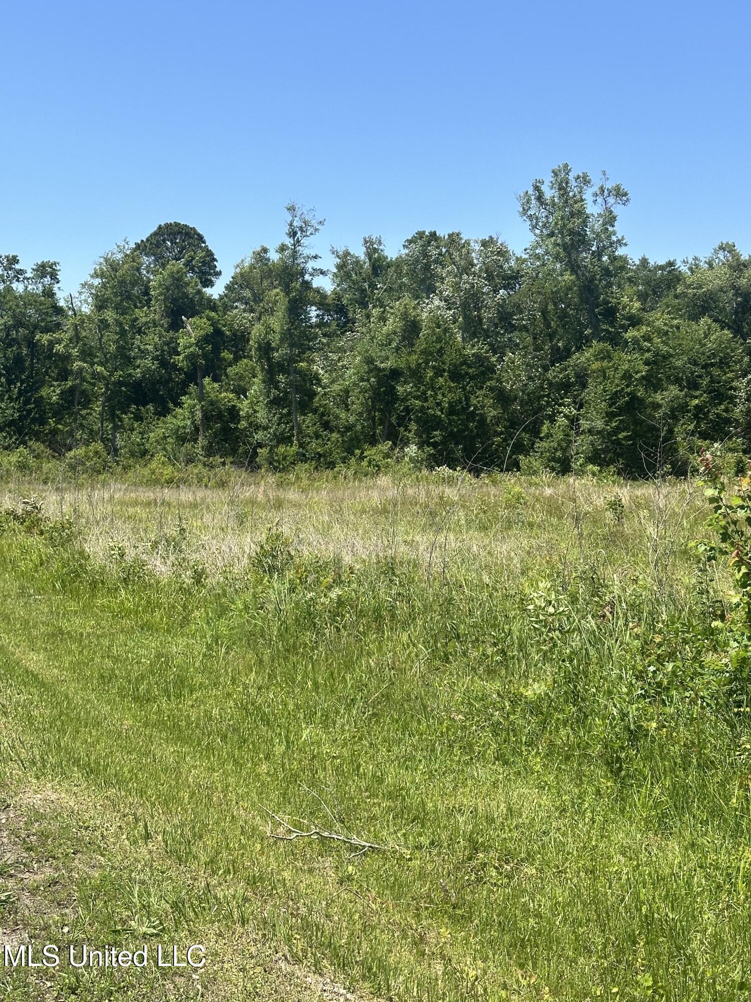 Nicholson Avenue, Waveland, Mississippi image 4