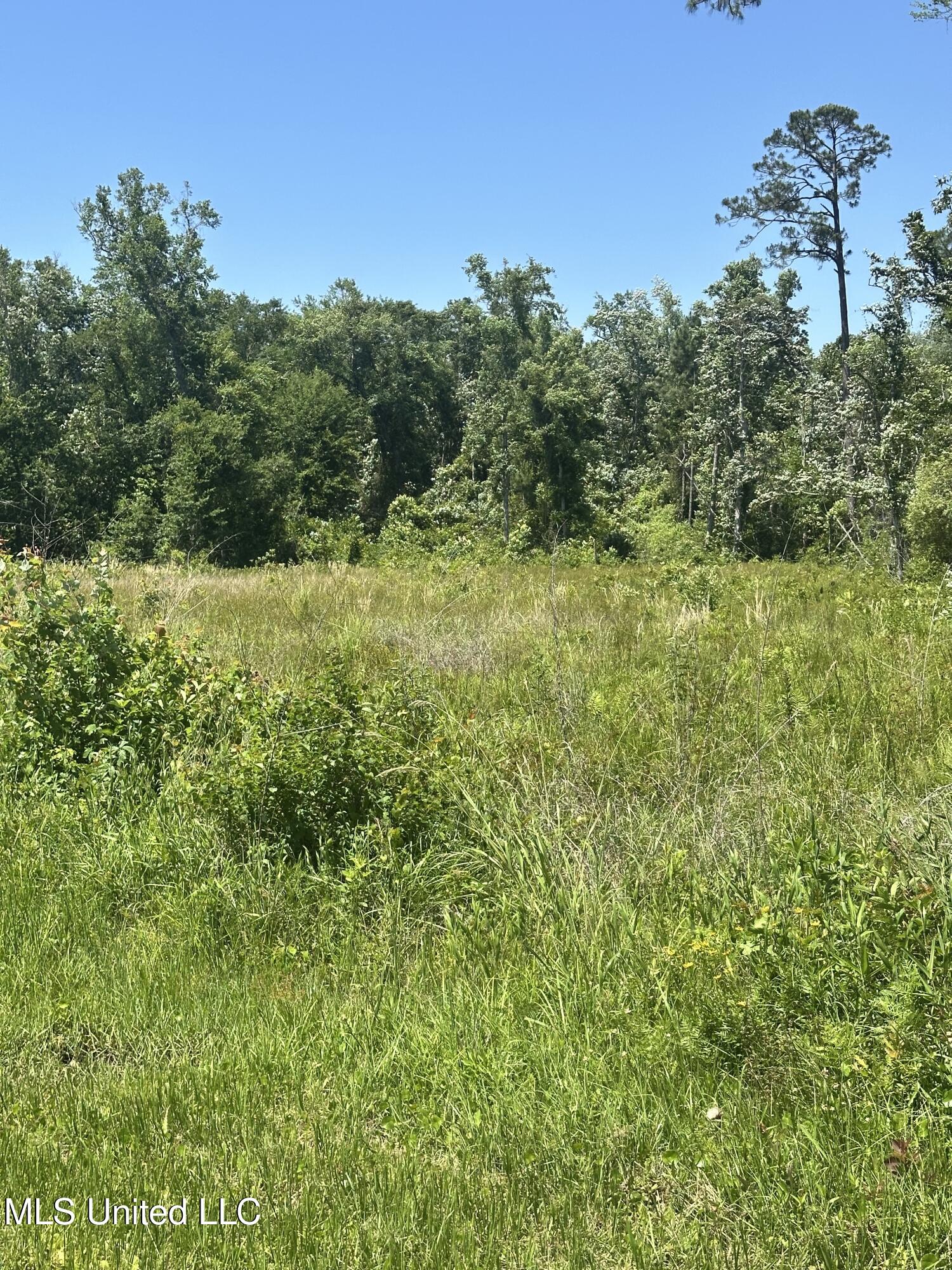 Nicholson Avenue, Waveland, Mississippi image 3