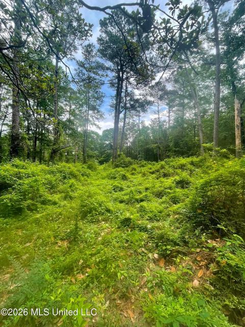 Vacant Land For Sale - 2 Magnolia Progress Road<br/> Magnolia, MS 39652