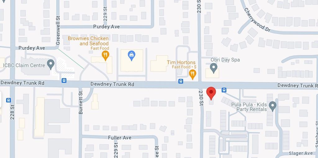 Photo of 23004 Dewdney Trunk Road, Maple Ridge, BC V2X 3L1 (MLS # C8078191)