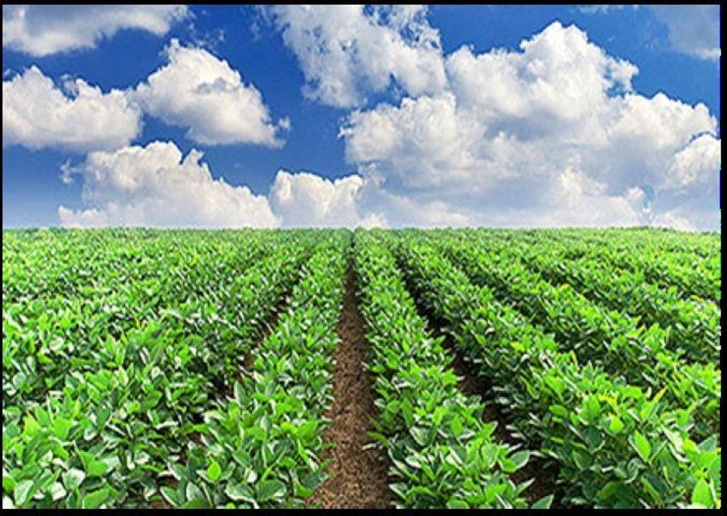 Photo of Canadian Agrichar Inc., Maple Ridge, BC V0V 0V0 (MLS # C8077817)