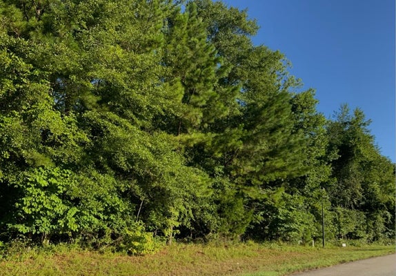 2601 OLD IVY LN # 3, ALBANY, GA 31721 - Image 044ab25dafda8ae2ba2f2fe1b0022822/832524445