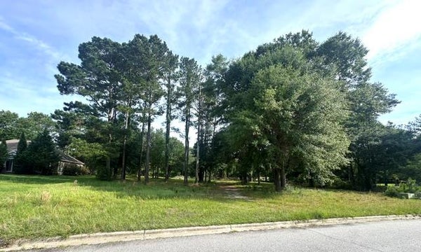 1315 RIVER POINTE DR # 93, ALBANY, GA 31701 - Image 64a00a033bd79698dd29055c9efce35d/486858638