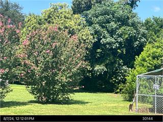 104 HOLLY DR, ALBANY, GA 31705 - Image 8a2cfbc4ff4cca0512121b46ebe7f6c2/3162044781