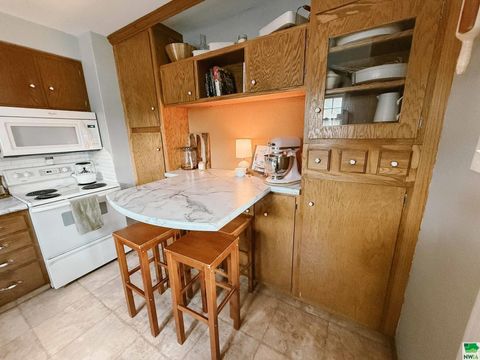 Tiny photo for 211 Albany Ave SE Ave, Orange City, IA 51041 (MLS # 830000)