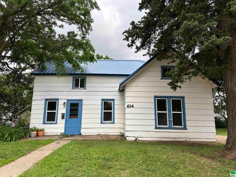 Single Family Residence in Vermillion SD 614 Main.jpg