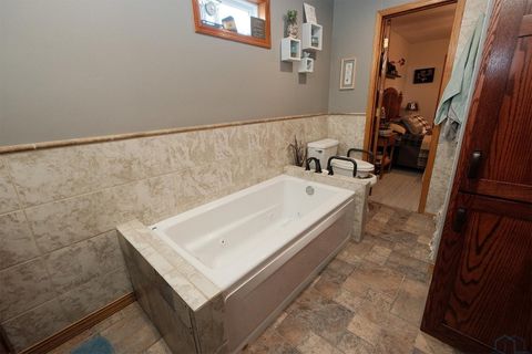 Tiny photo for 3585 Ironwood Ave, Orange City, IA 51041 (MLS # 831741)