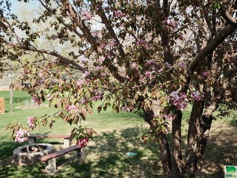 Tiny photo for 544 13th Street Circle SE Cir, Sioux Center, IA 51250 (MLS # 828491)