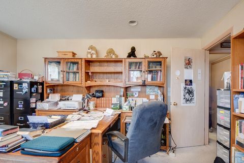 Tiny photo for 304 Frankfort Ave SE Ave, Orange City, IA 51041 (MLS # 832237)