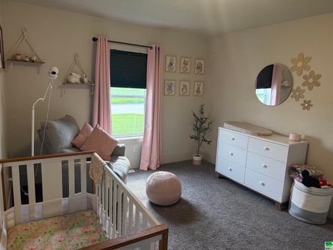 Tiny photo for 1506 Lincoln Pl SE Pl, Orange City, IA 51250 (MLS # 829850)